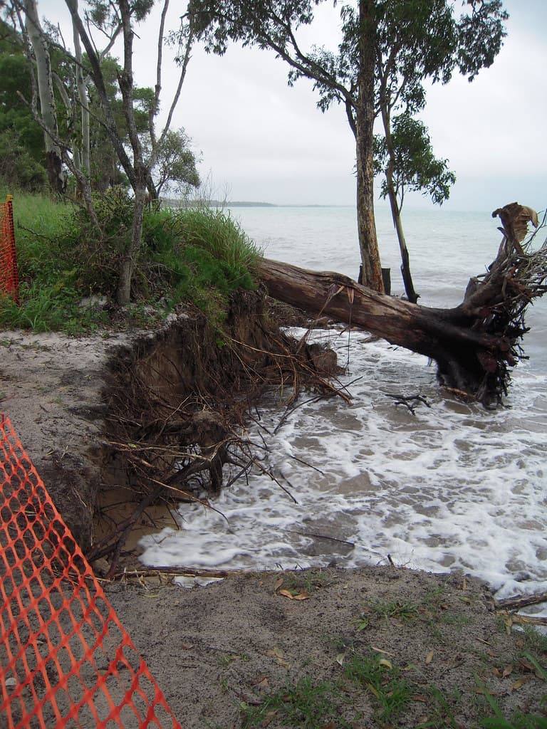 Toogoom beach and foreshore