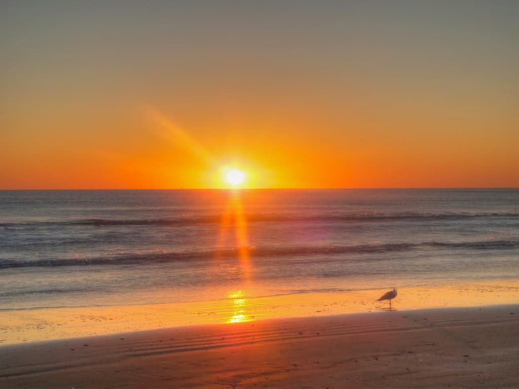 South Padre Island, Jan 2012 - 50