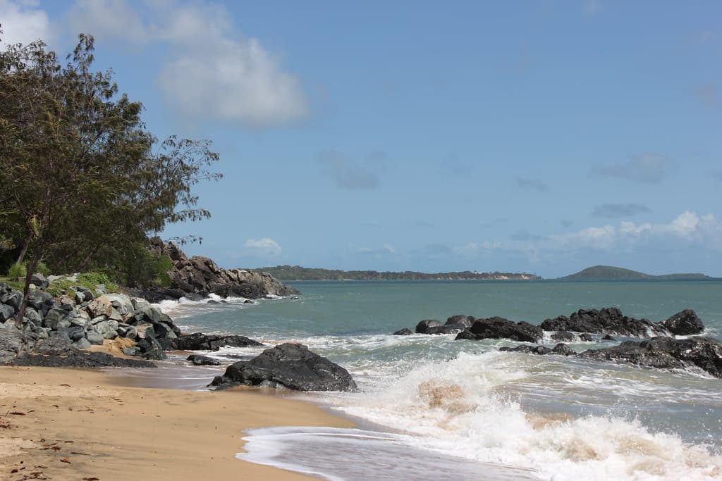 Mangroves along Eimeo Road and Dolphin Heads Road, Eimeo Beach & Blacks Beach