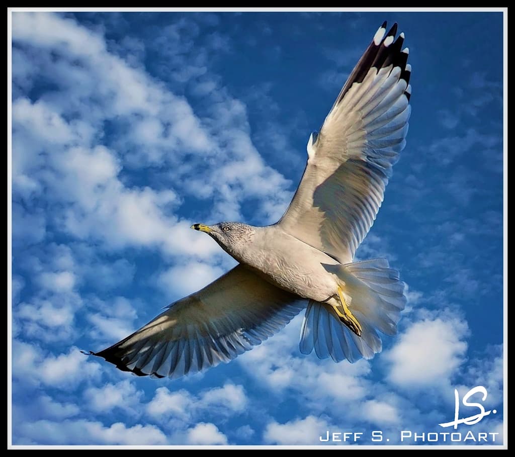Flying high