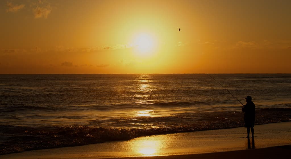 Morning Fisherman