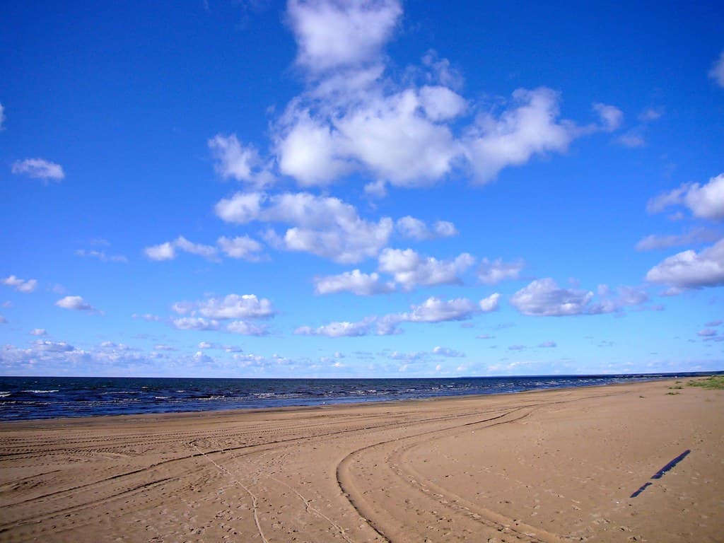 Narva River Mouth Russian Shore