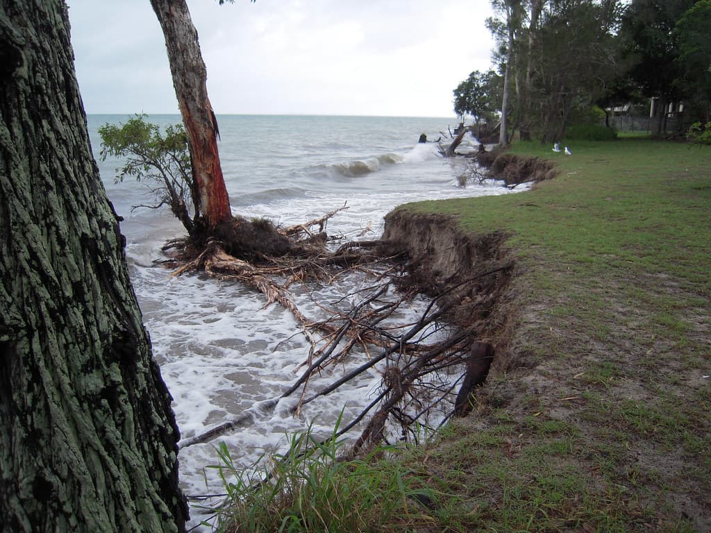 Toogoom beach and foreshore