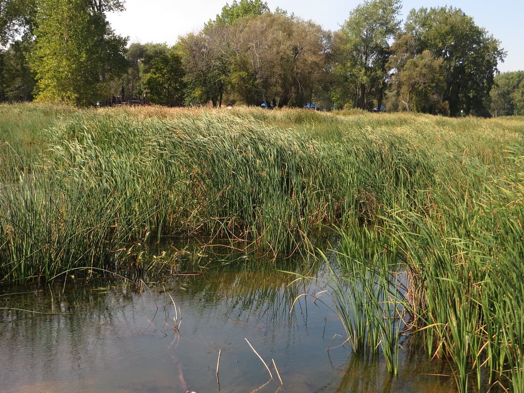 Saginaw Bay, Bay City, Michigan