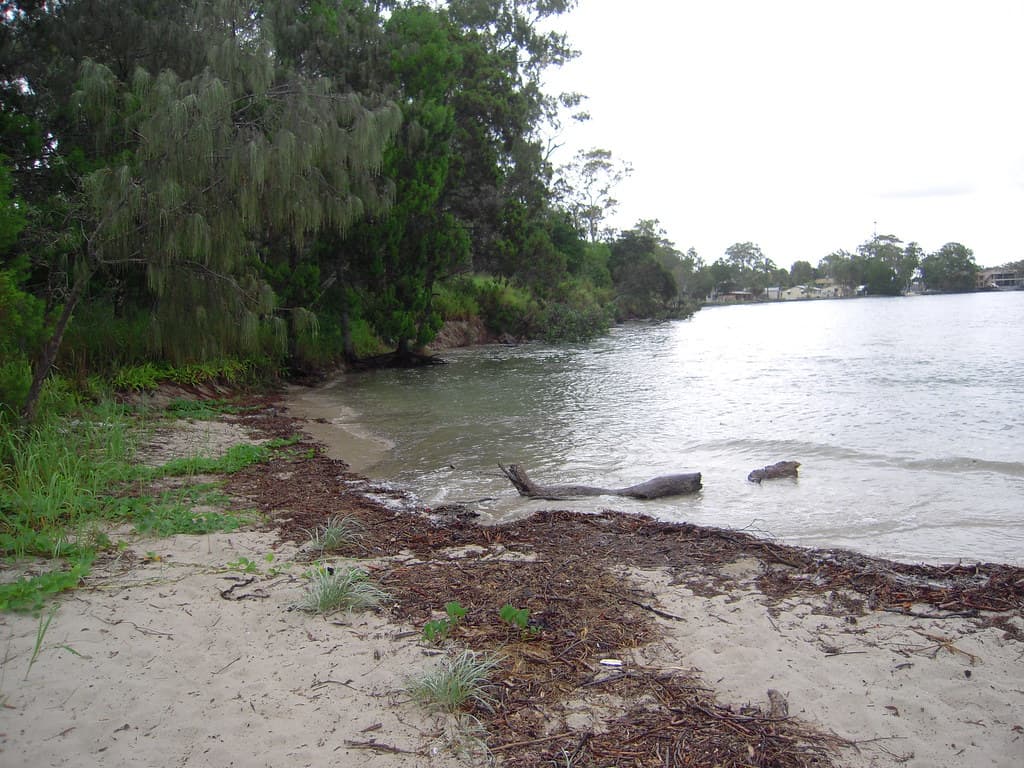 Toogoom beach and foreshore