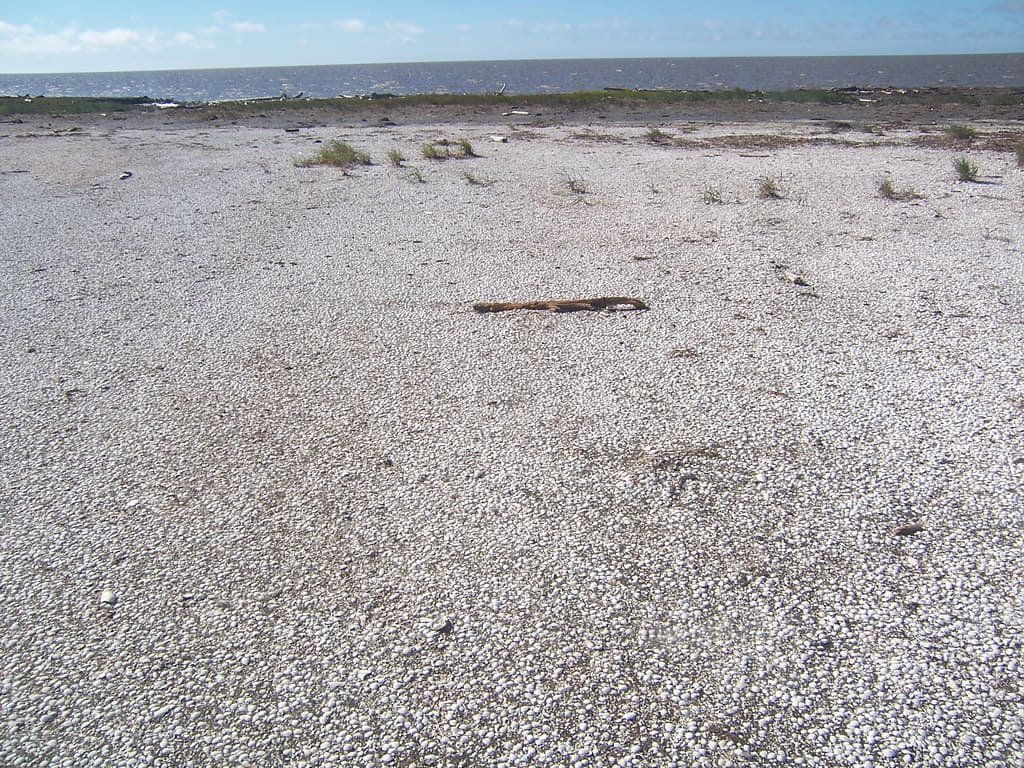 Scammon Bay Beach