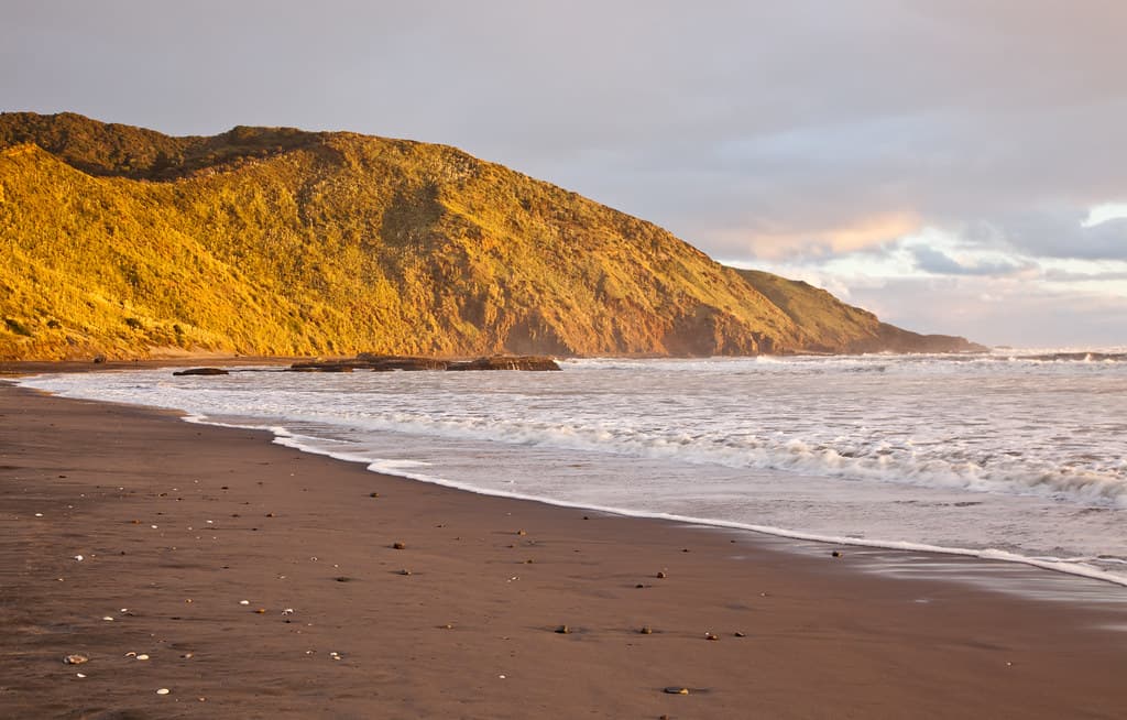 Waikato River Mouth Beach — photo by russellstreet
