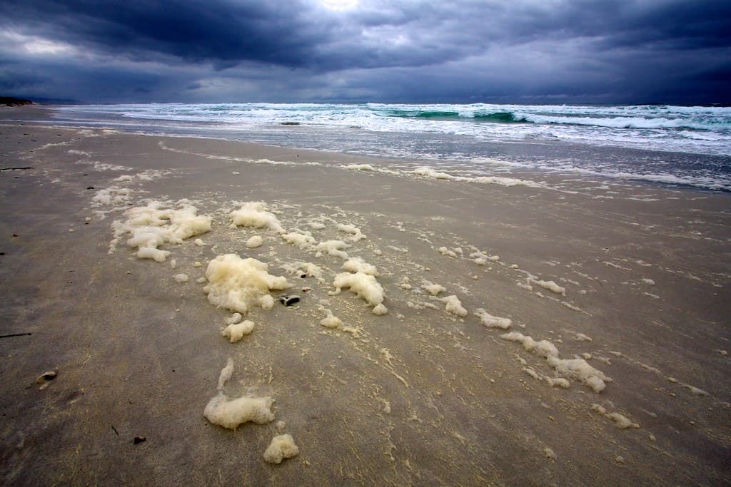 Sea Foam