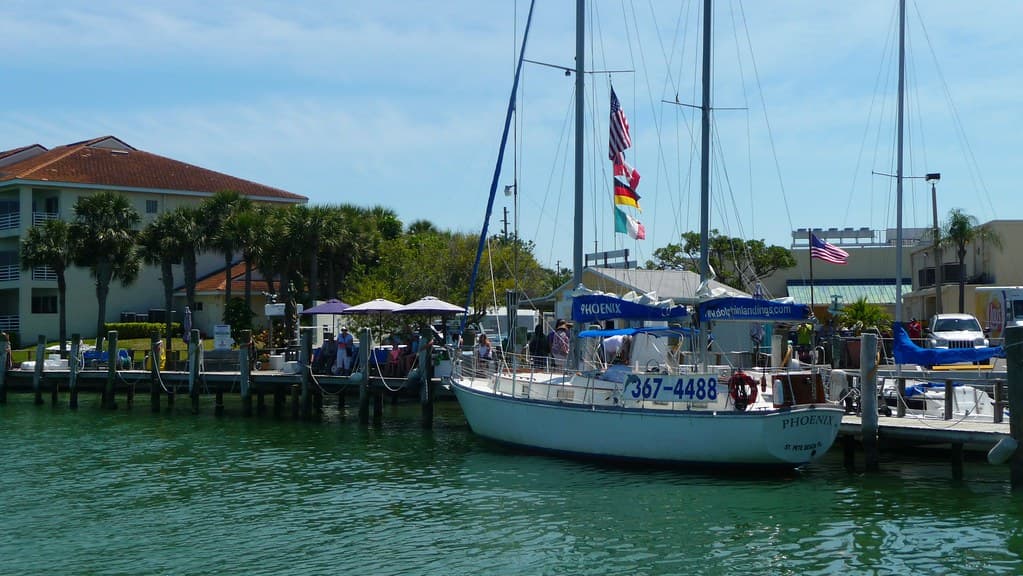 Dolphin Watching, St. Pete Beach