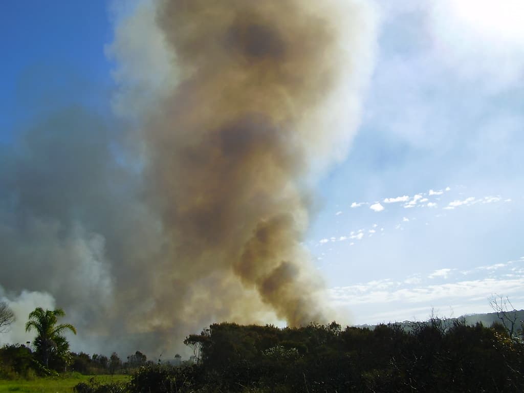 Burnoff at Arrawarra Headland