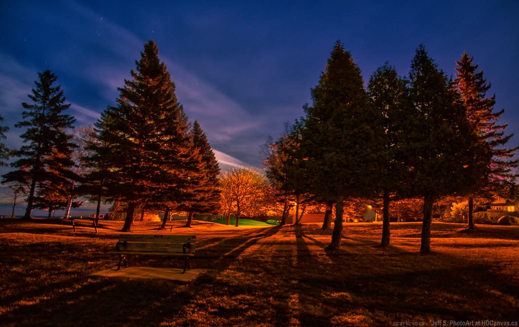 Night at the Park