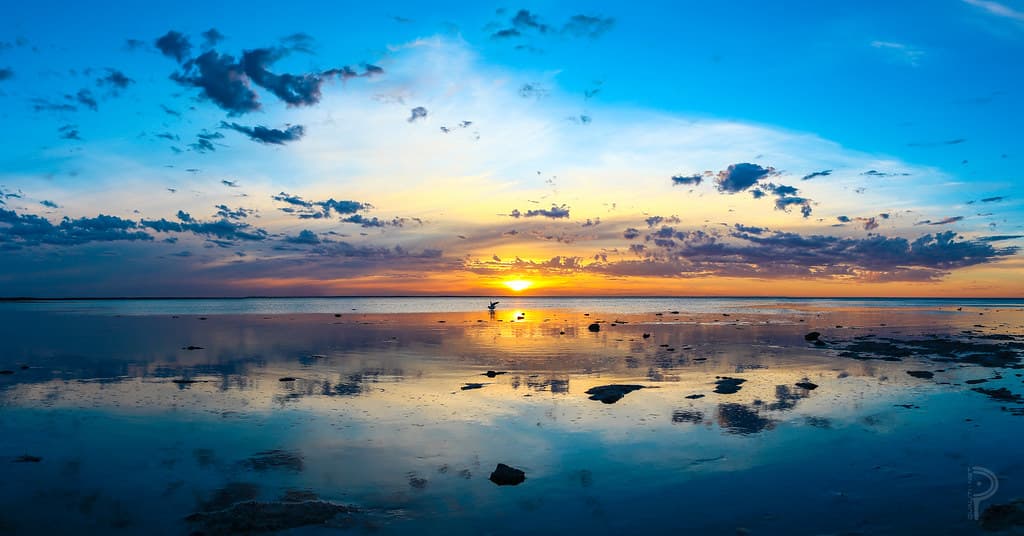 Reflections of Days Gone By