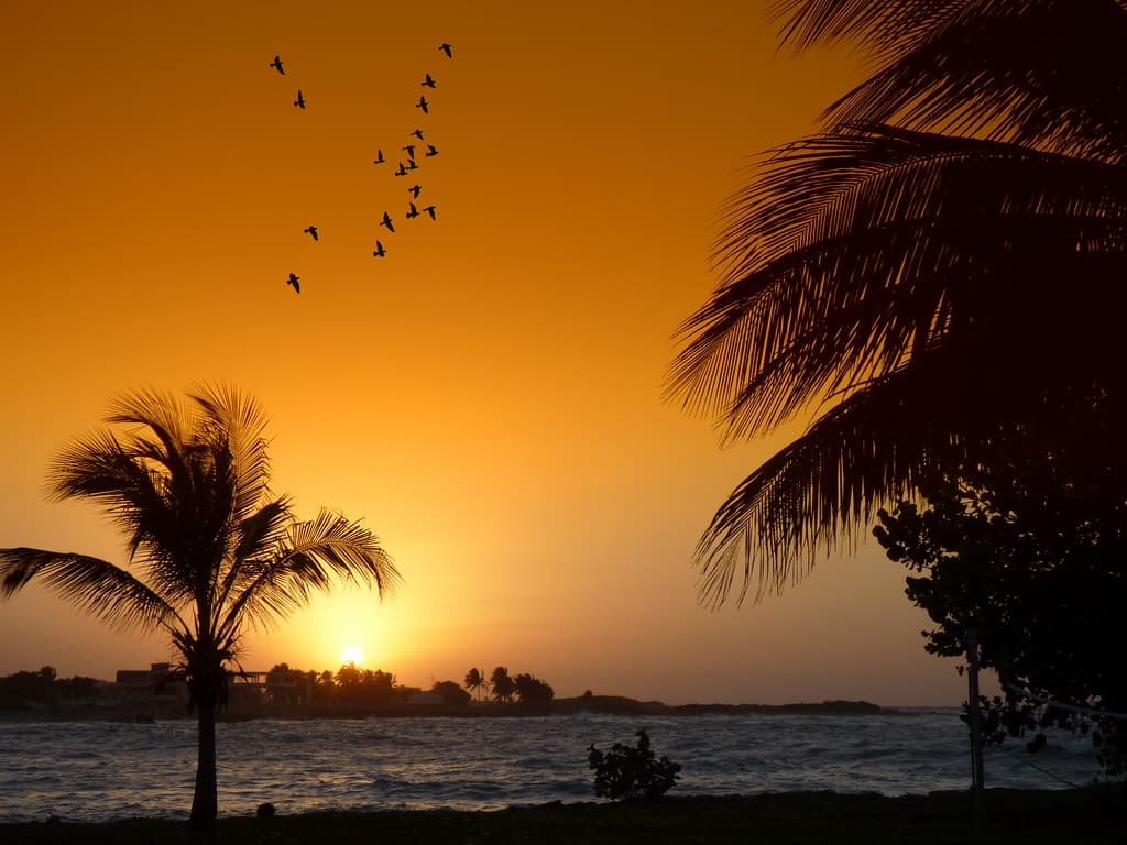Playa Celimar — photo by .^.Blanksy
