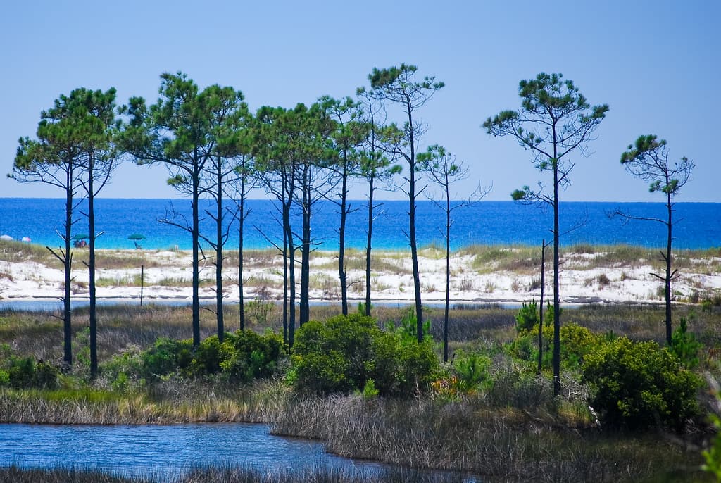Camp Helen State Park, Florida
