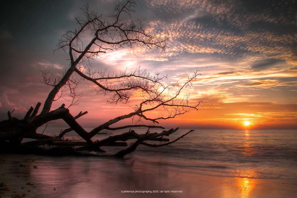 Pohon Batu Beach