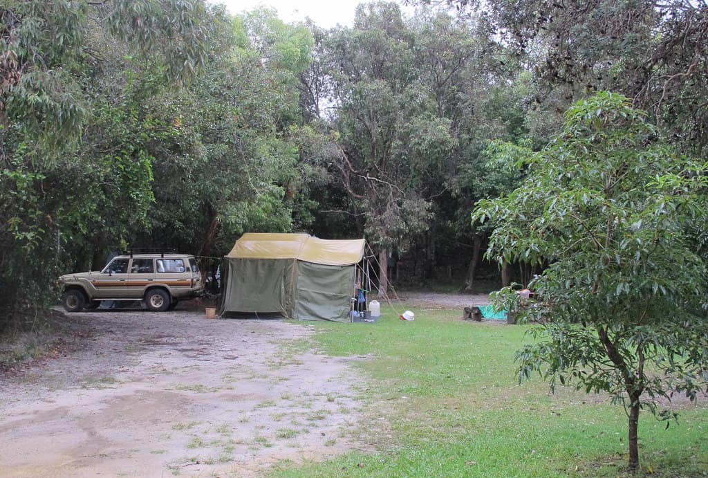 Smoky and Scruby at Delicate Nobby campsite