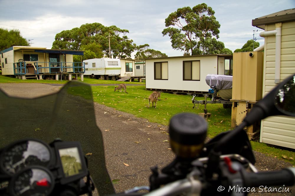 20110219-Pebbly Beach-1665.jpg