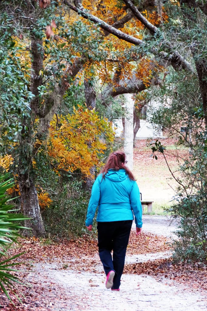 Leafing the woods