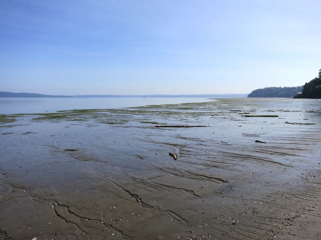 Dash Point State Park Beach