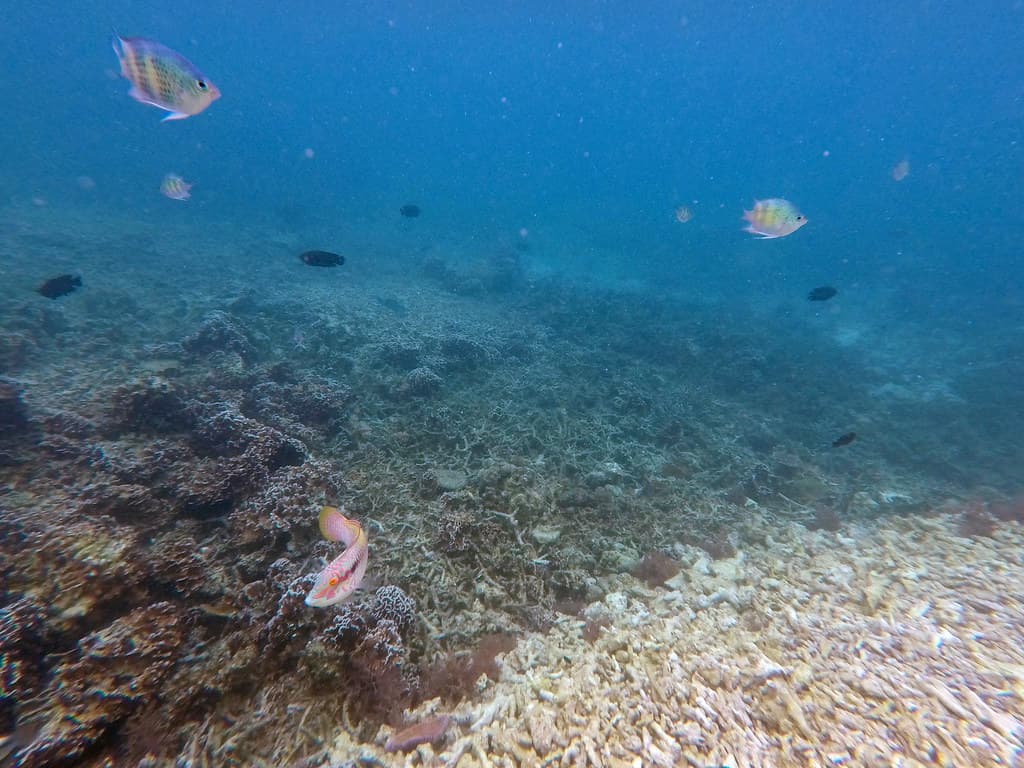 Mantanani Island Sabah Borneo