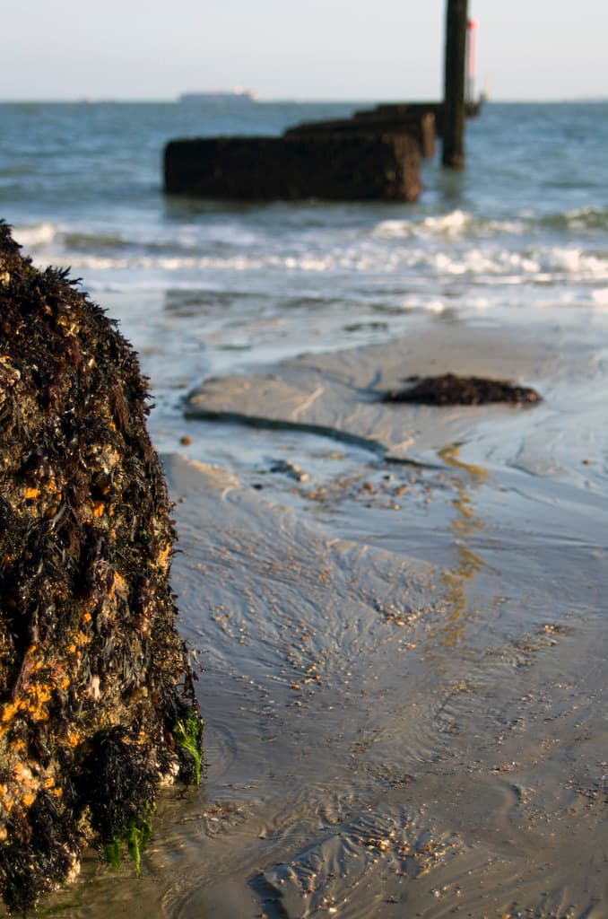 Priory Bay