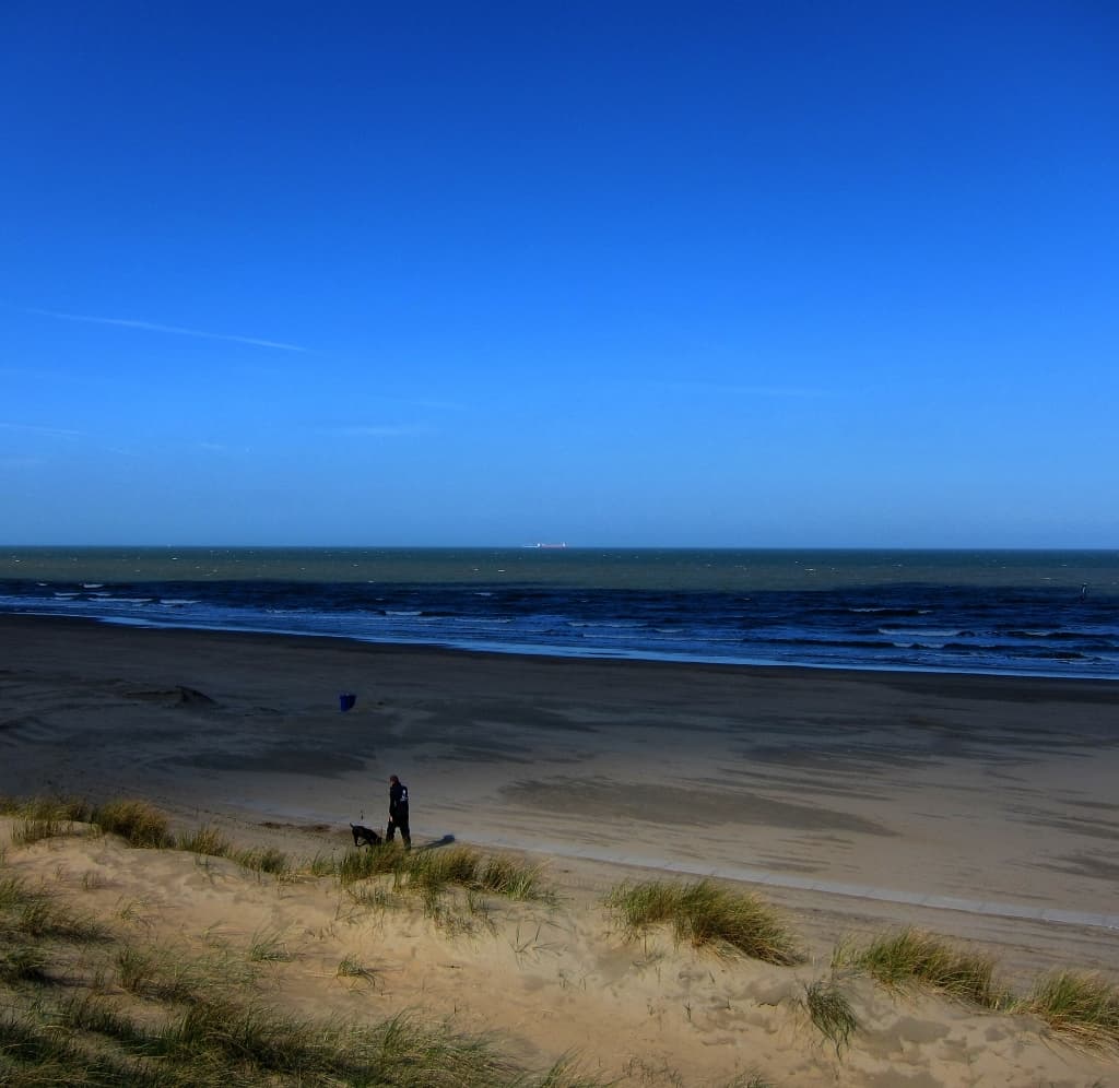 Noordwijk Dunes Quiet Beach