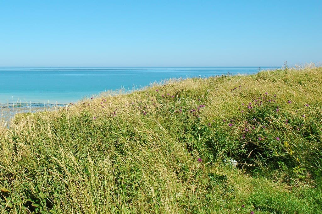 Mesnil Val, commune de Criel sur mer, F-76