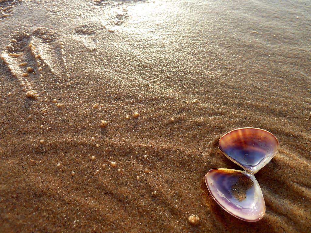 Marine Park Beach — photo by sarah0s
