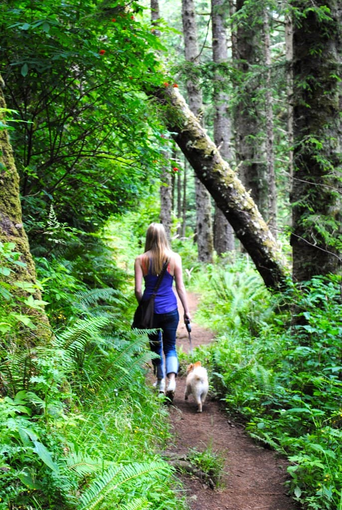 Tillamook Head Lighthouse Hike