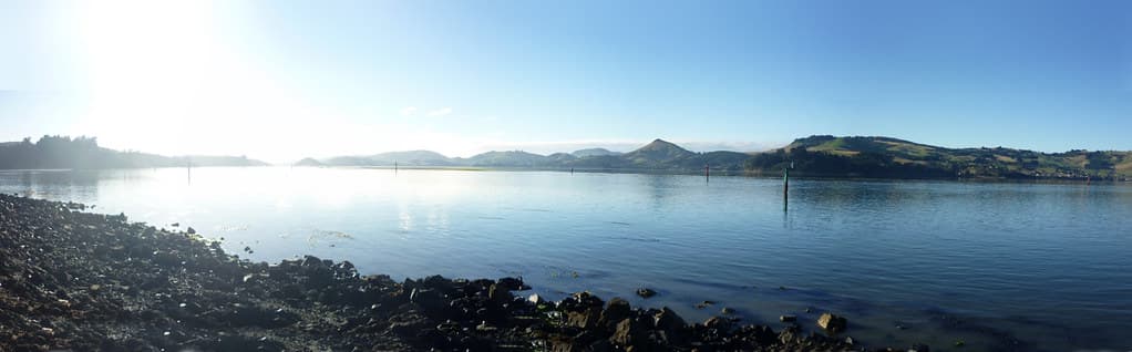Otago Harbour towards Port Chalmers