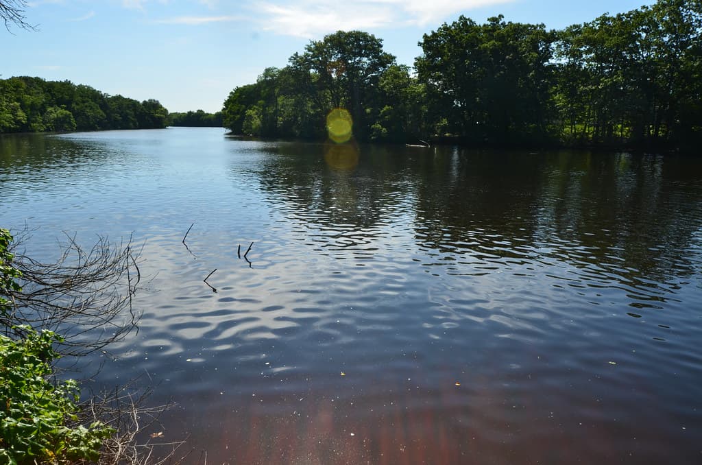 Charles River at Greenough Boulevard by North Beacon Street, Watertown
