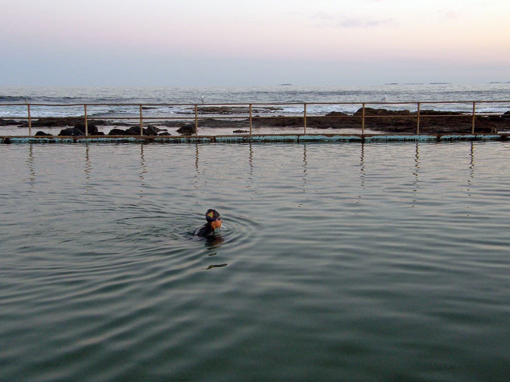 Solitary Swimmer