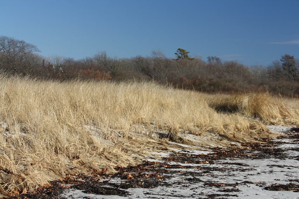 KH-KETTLE COVE-IMG_2328