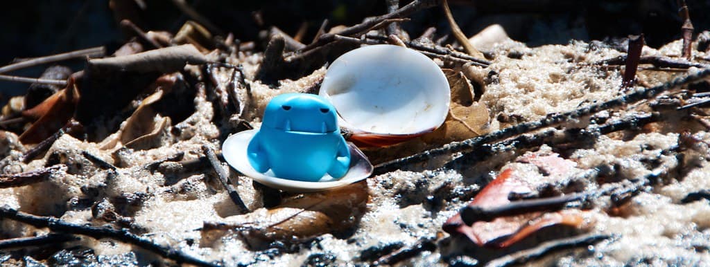 Seashells Beach