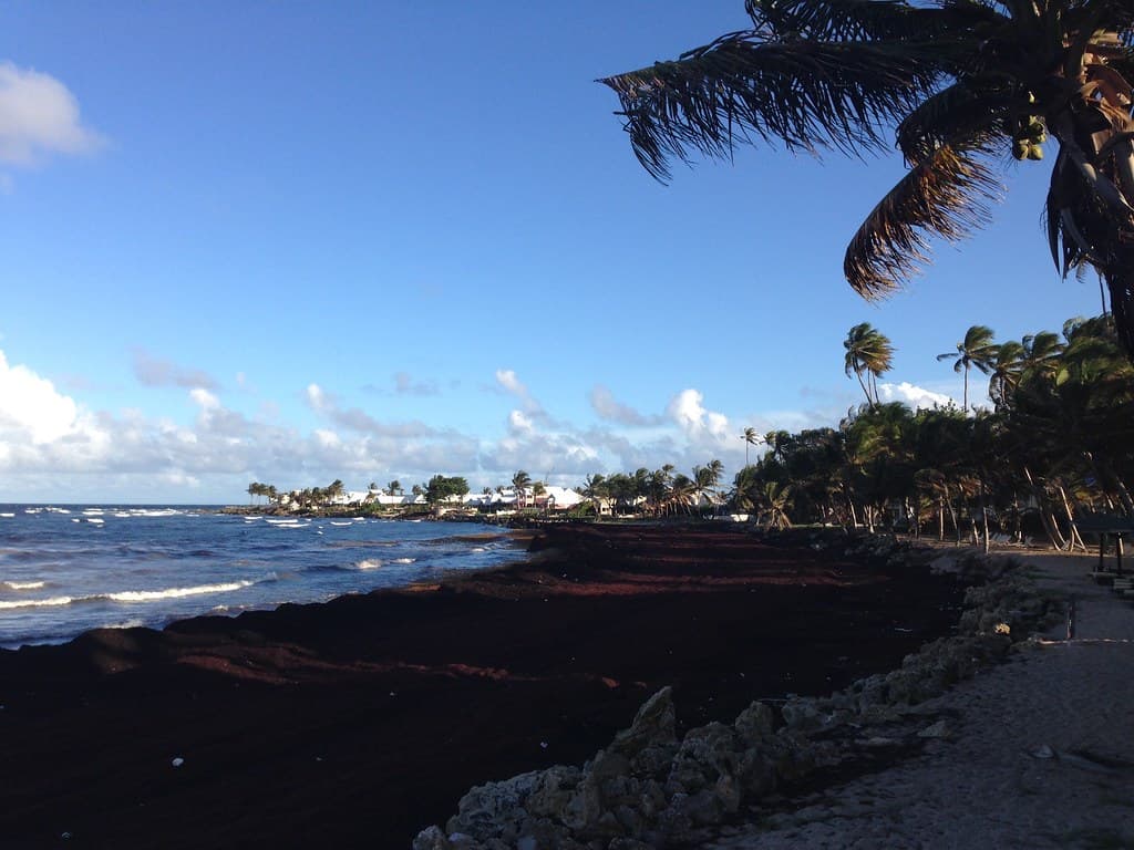 Bacolet Bay Beach