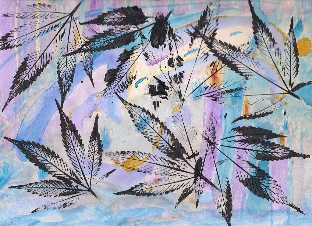 Cannabis Counting Candles - 2013