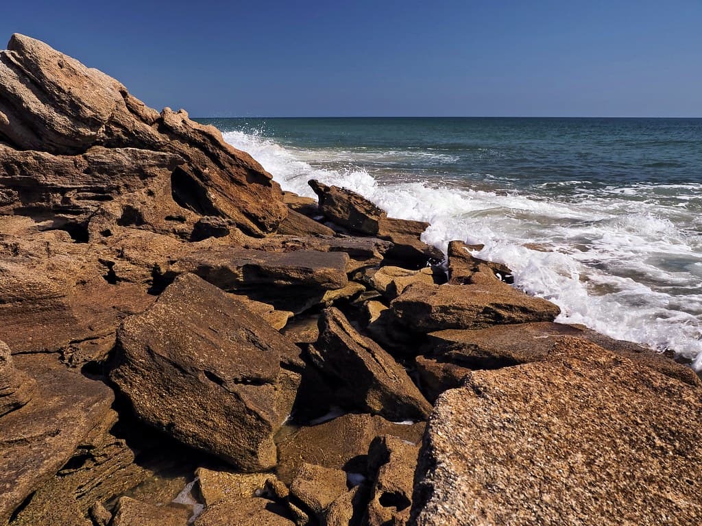 Rolling Into the Rocks at Washington Oaks