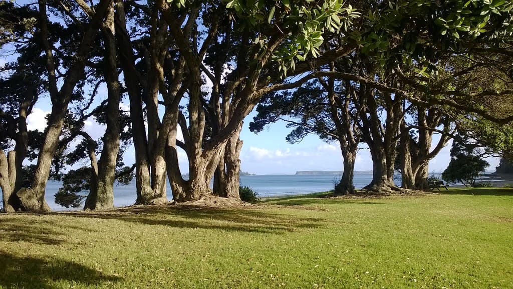 Martins Bay — photo by Yortw