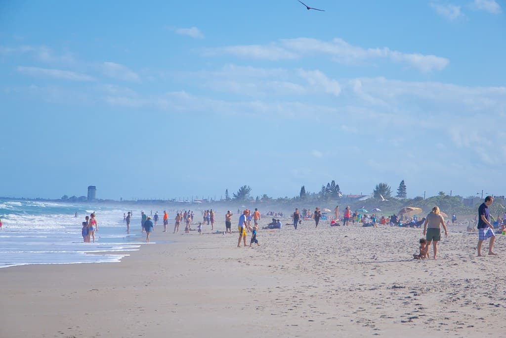 Afternoon at the beach, Feb 8, 2015 - 02