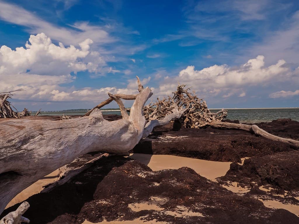 Different Angle on the Driftwood Tangle