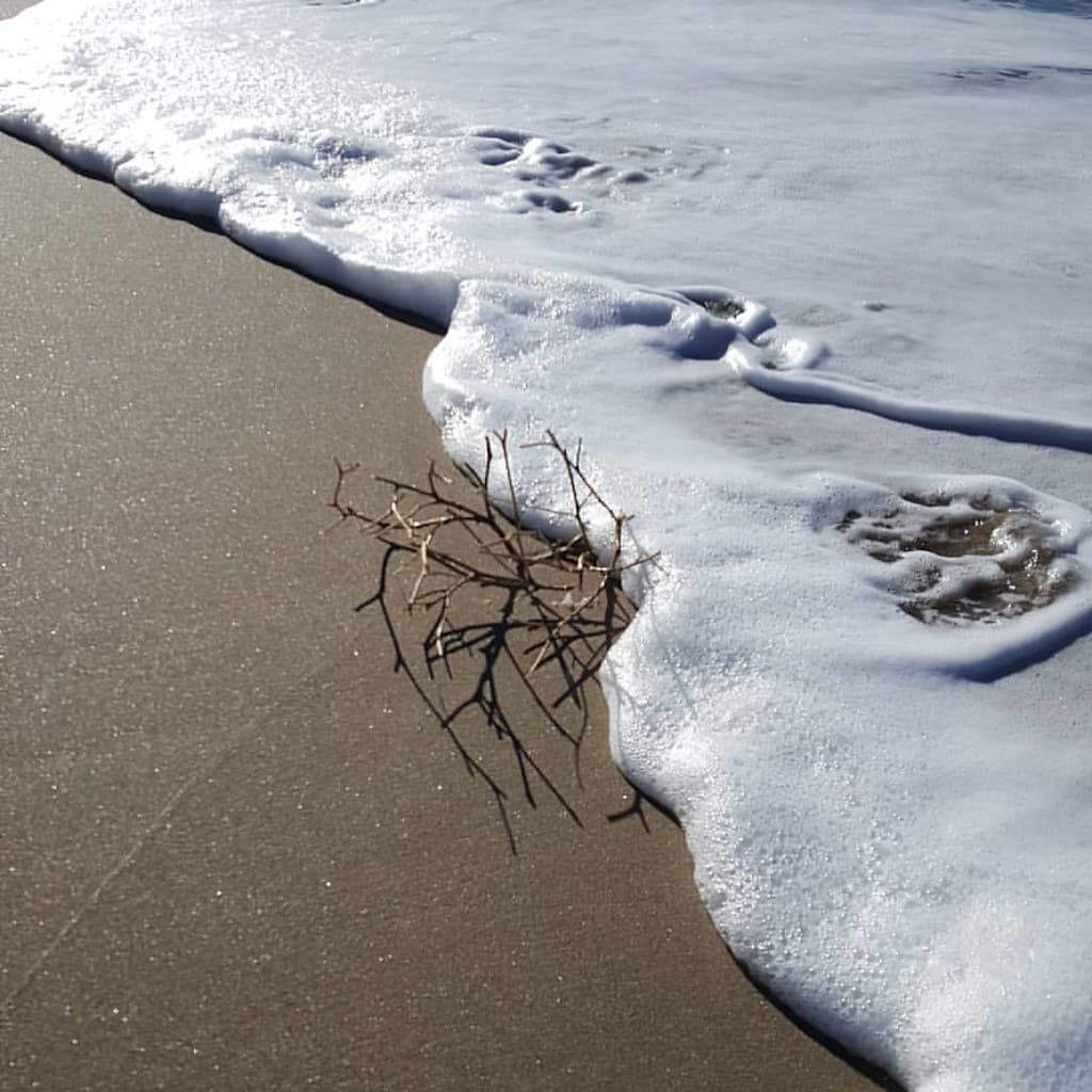 Wainui Beach — photo by easegill