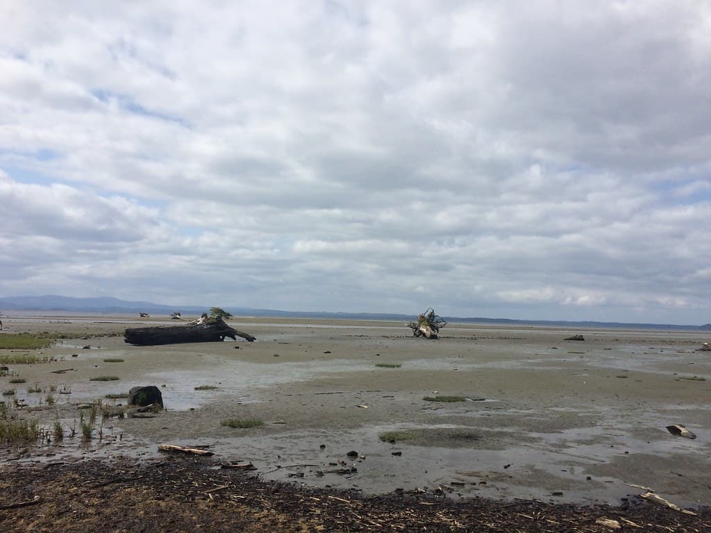 Kumdis River Beach — photo by Christine Rondeau