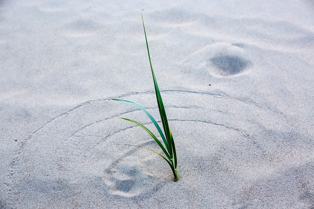Windmark Beach