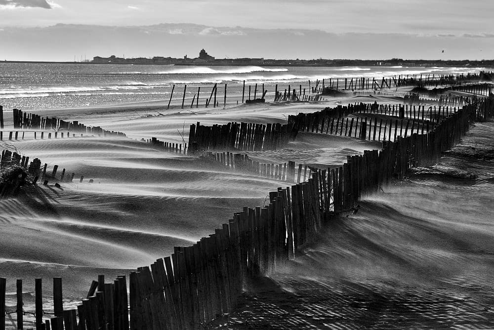Camargue - Plage des Saintes Maries De La Mer