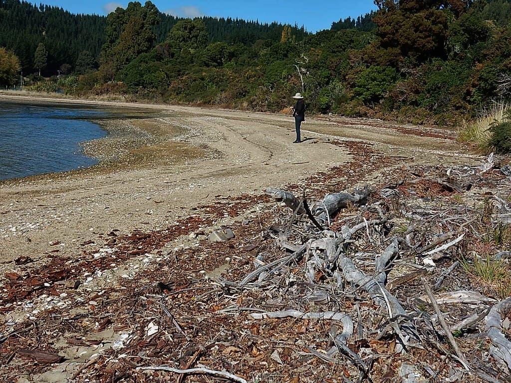 Ruakākā Bay Beach