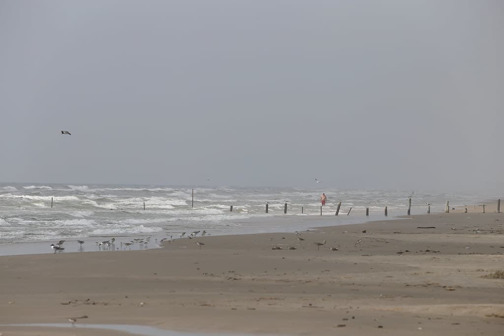 mustang_island_beach_6D4139