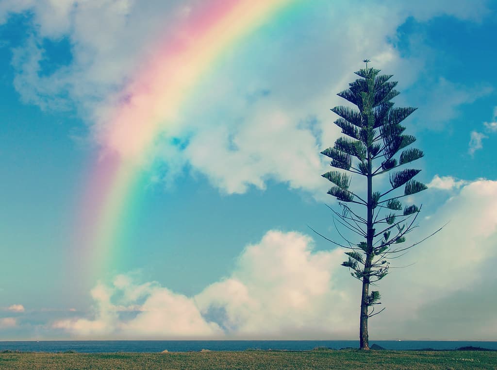 * Rainbow *