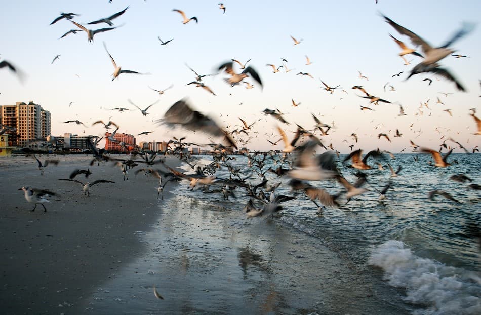 Clearwater Beach, Florida
