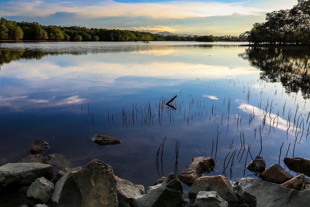 Tranquility