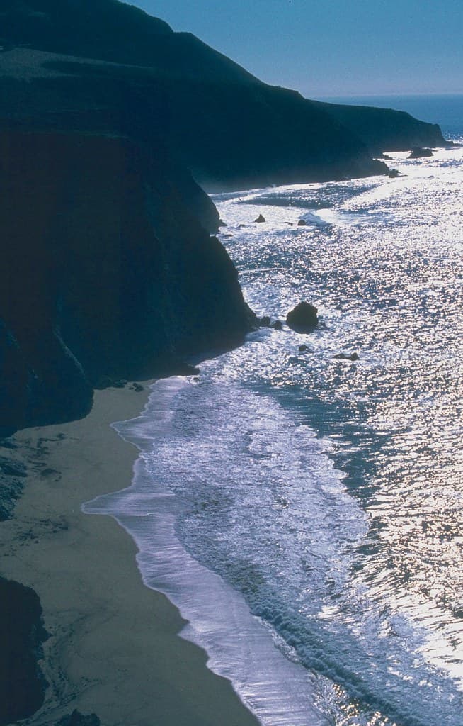 Sand Dollar Beach